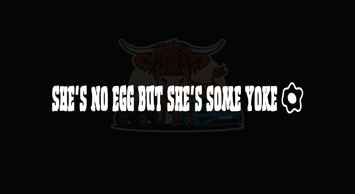 She's No Egg But but she some Yoke sticker
